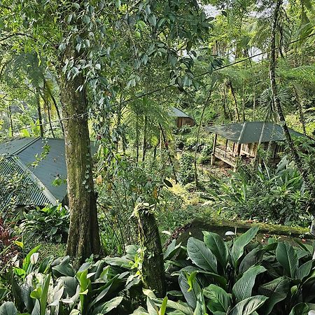 Rimba Eco Resort Tomohon Екстер'єр фото