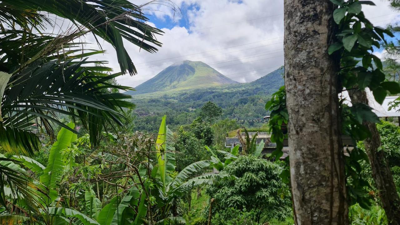 Rimba Eco Resort Tomohon Екстер'єр фото