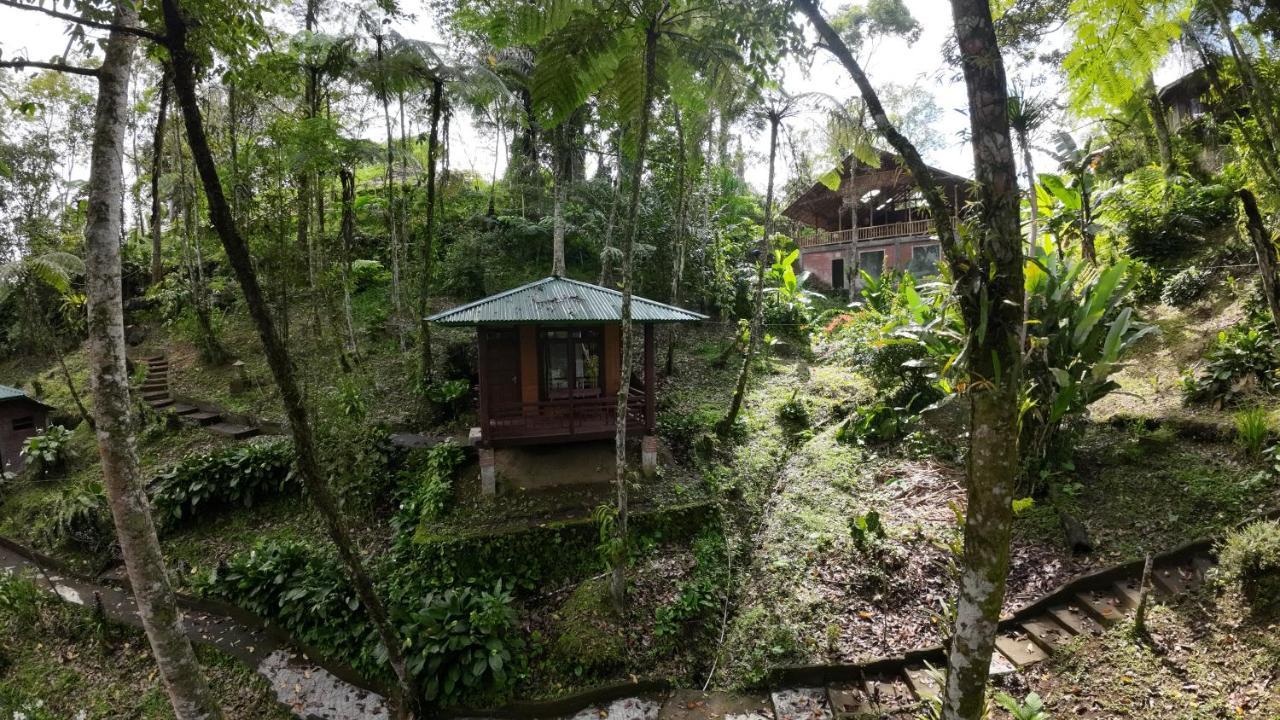 Rimba Eco Resort Tomohon Екстер'єр фото