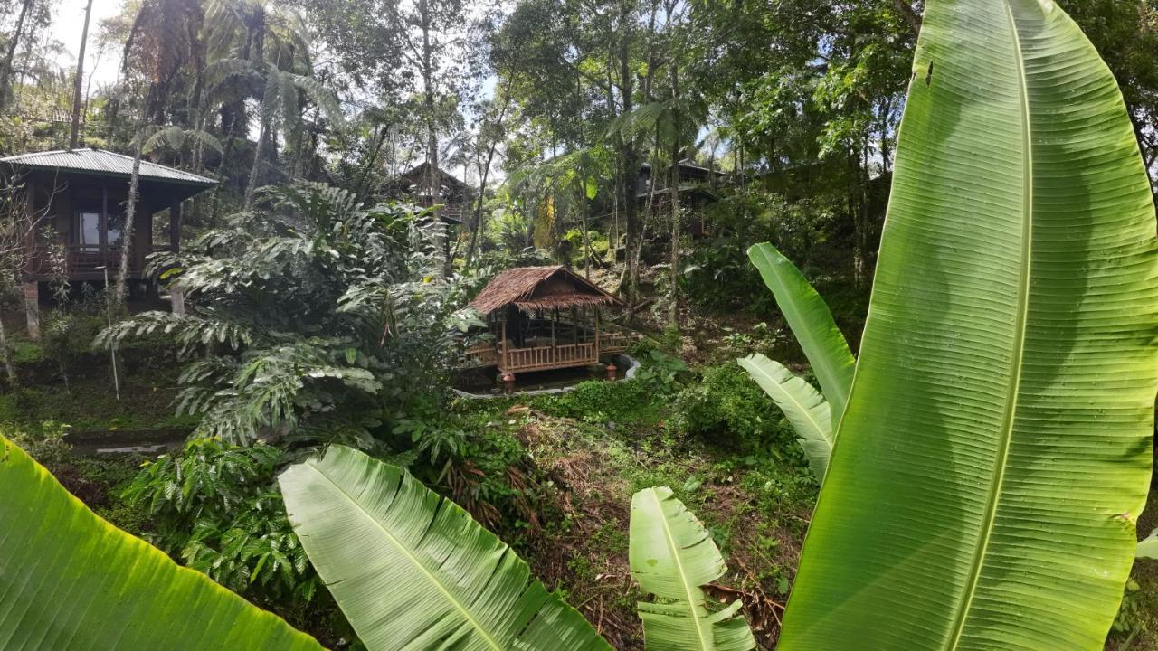 Rimba Eco Resort Tomohon Екстер'єр фото