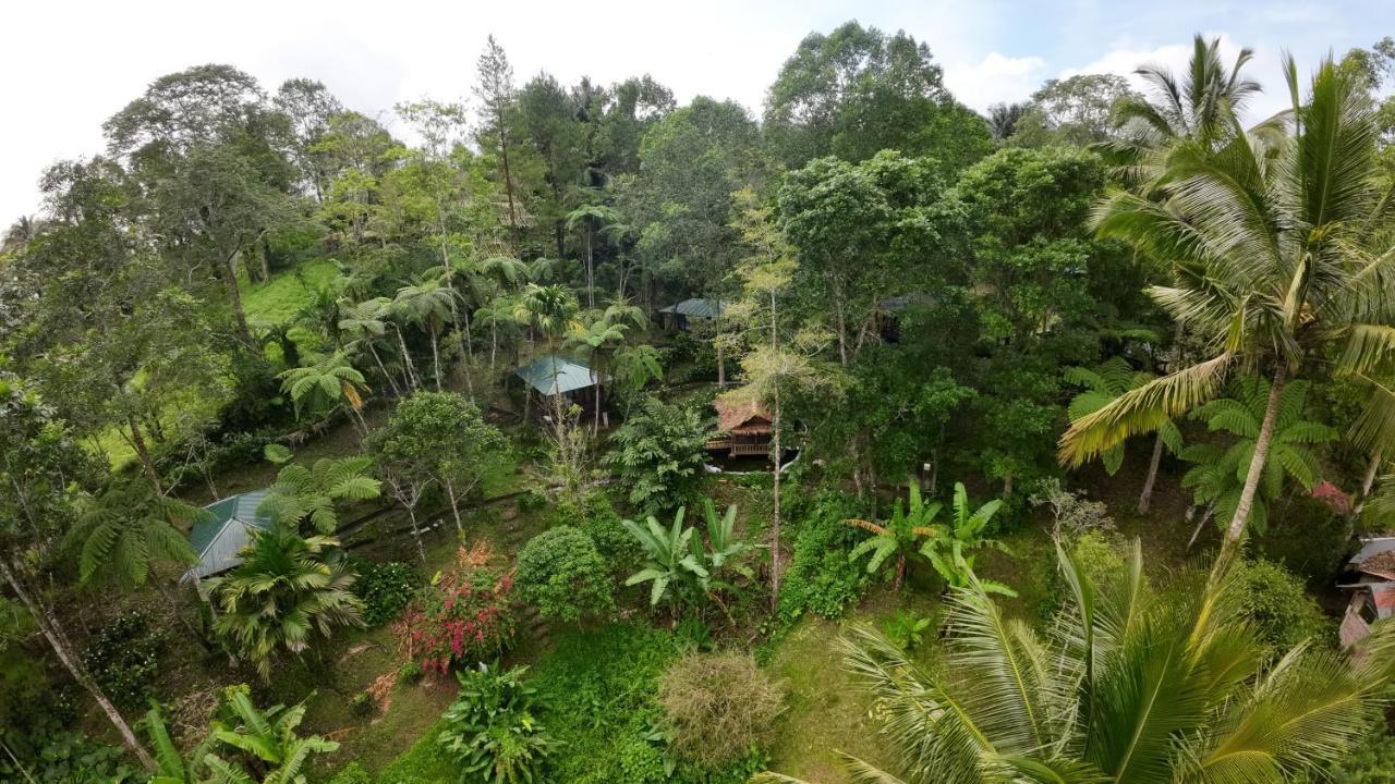 Rimba Eco Resort Tomohon Екстер'єр фото