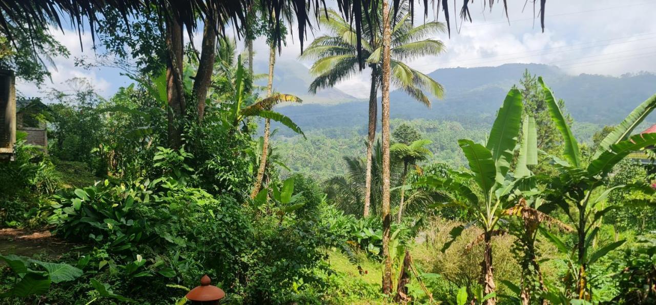 Rimba Eco Resort Tomohon Екстер'єр фото