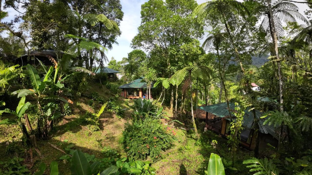 Rimba Eco Resort Tomohon Екстер'єр фото
