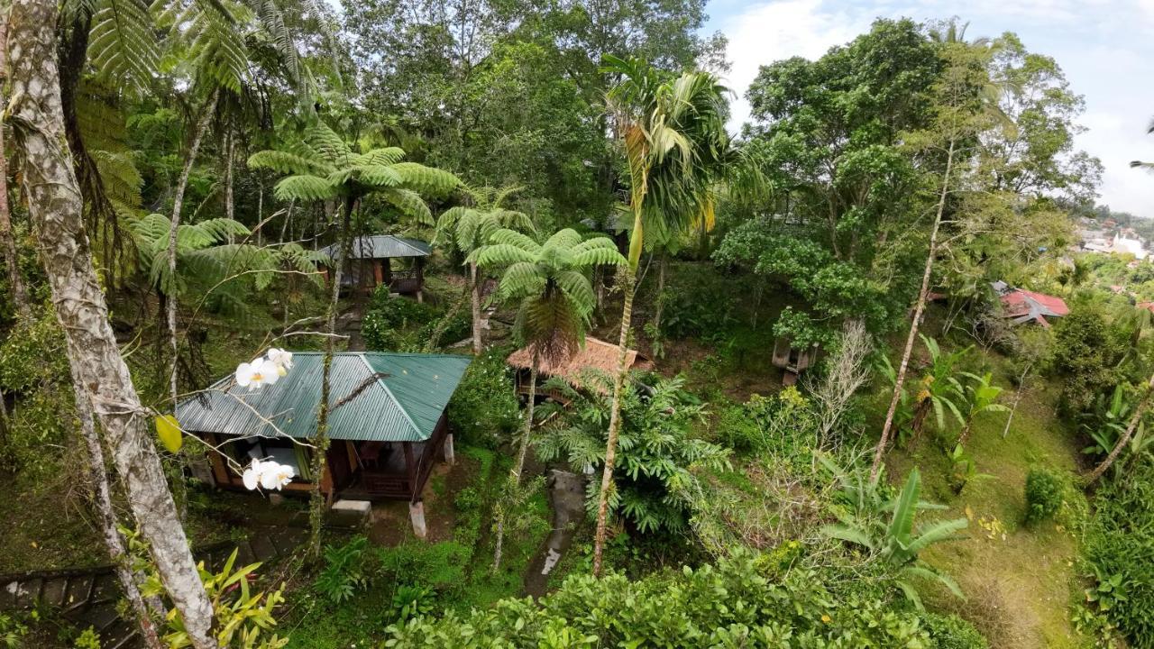 Rimba Eco Resort Tomohon Екстер'єр фото