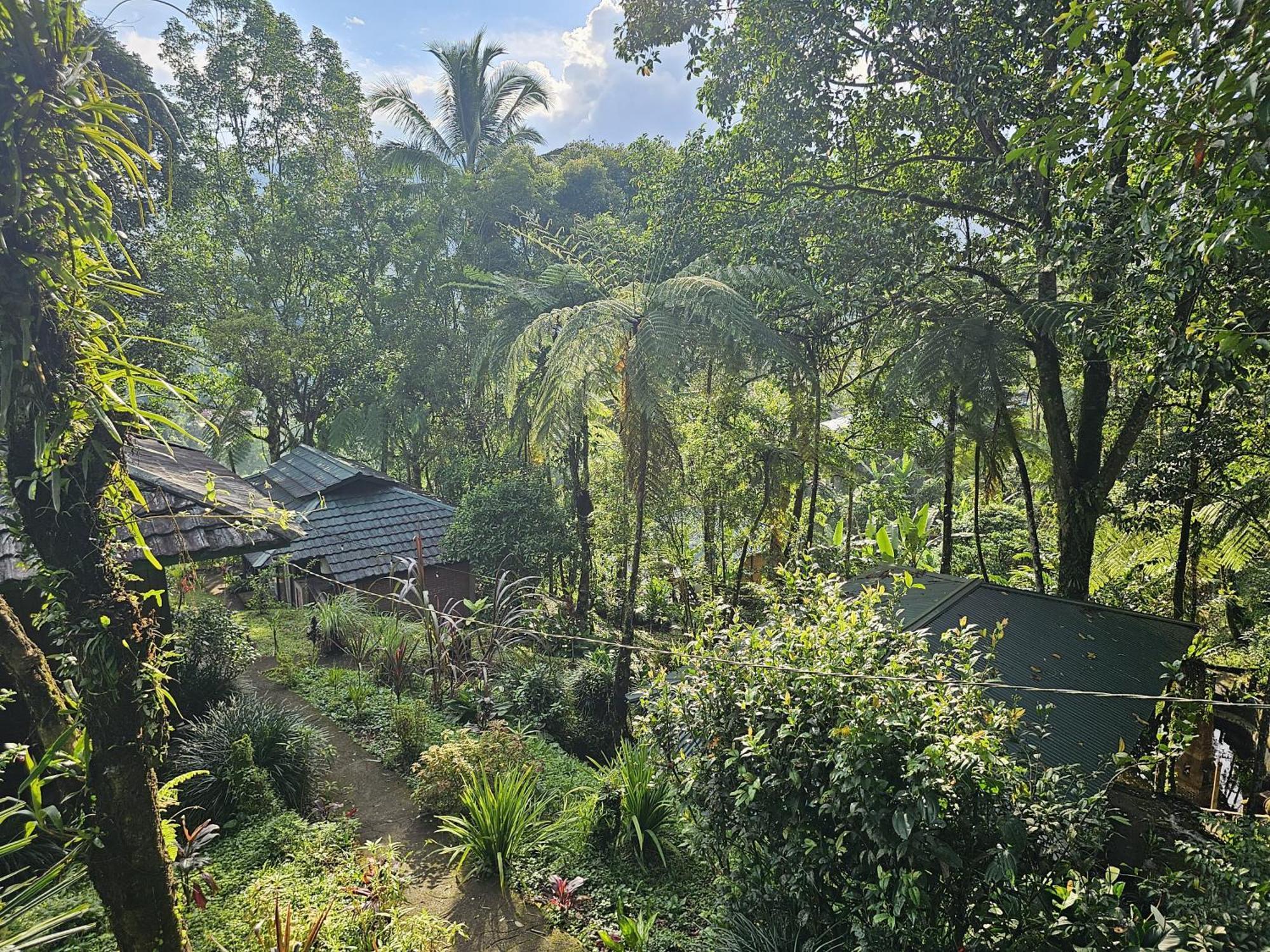 Rimba Eco Resort Tomohon Екстер'єр фото